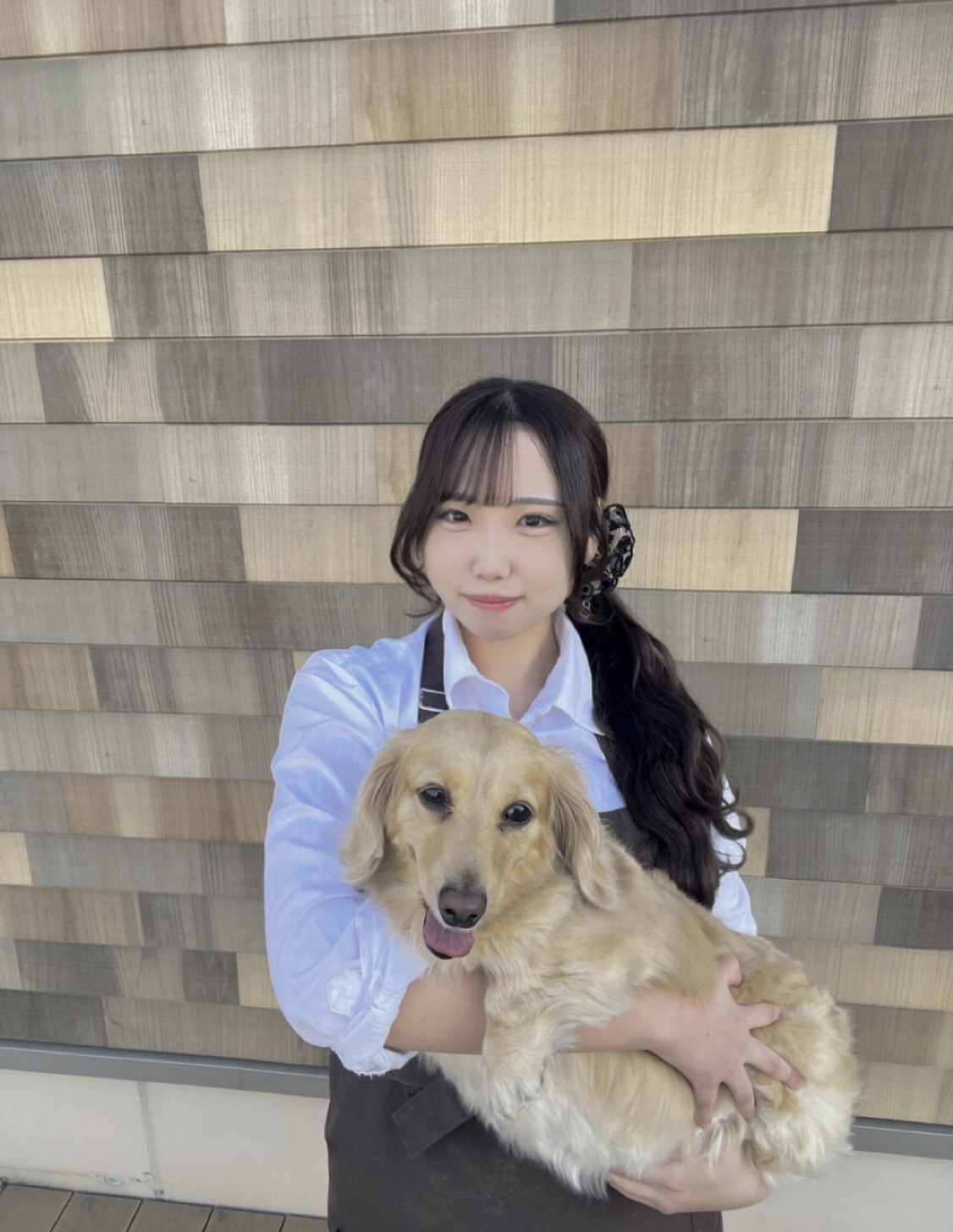 柏の葉キャンパス店 トリマー 伊崎さん