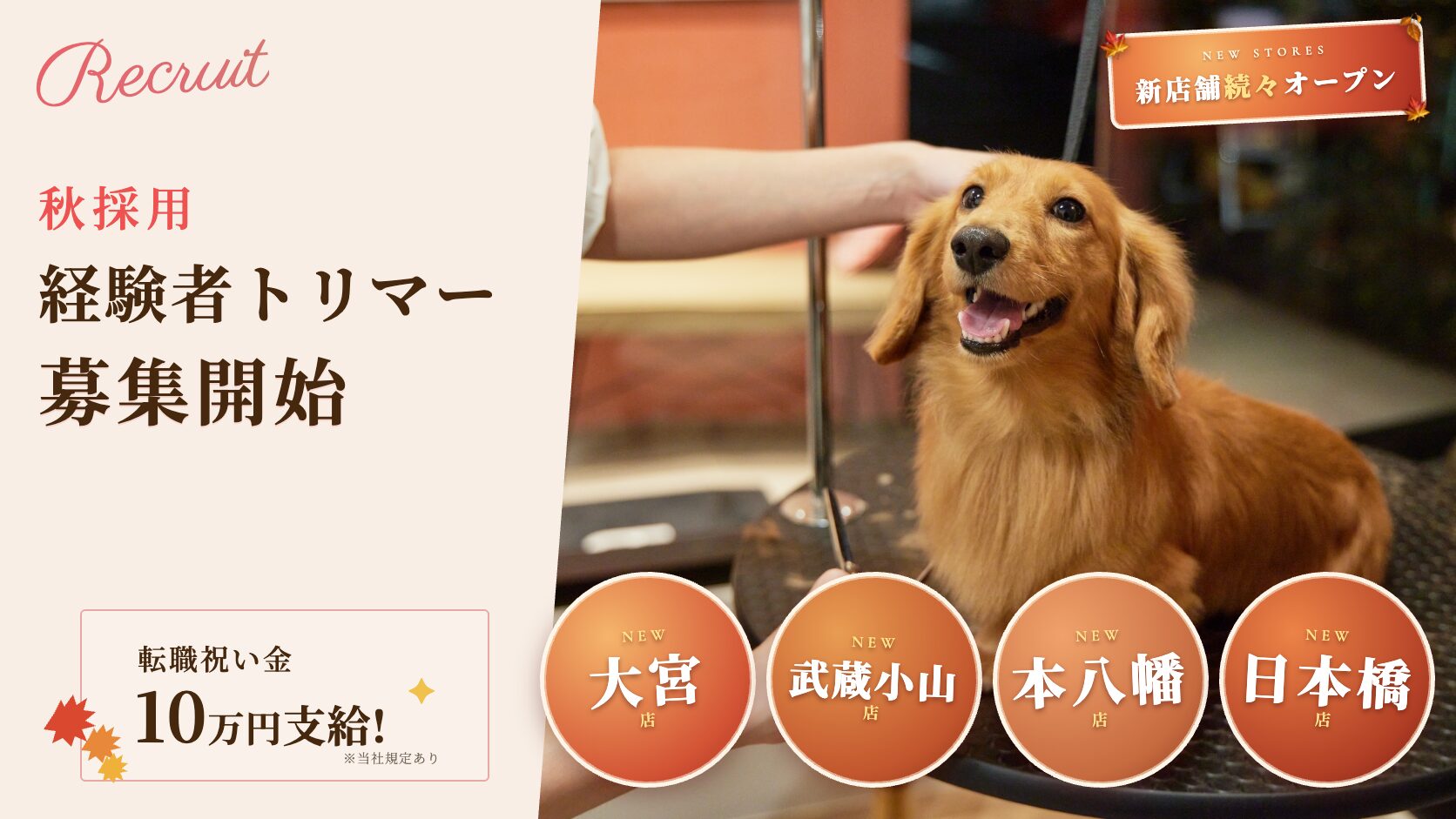 経験者トリマー募集｜2026年秋 新店舗続々オープン｜SOPRA