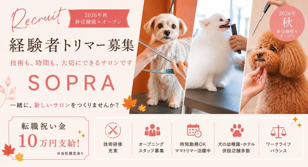 経験者トリマー募集｜2026年秋 新店舗続々オープン｜転職祝い金10万円｜SOPRA