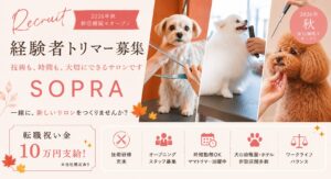 経験者トリマー募集｜2026年秋 新店舗続々オープン｜転職祝い金10万円｜SOPRA