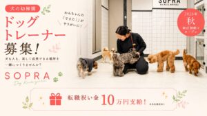 ドッグトレーナー募集｜犬の幼稚園｜2026年秋 新店舗続々オープン｜SOPRA