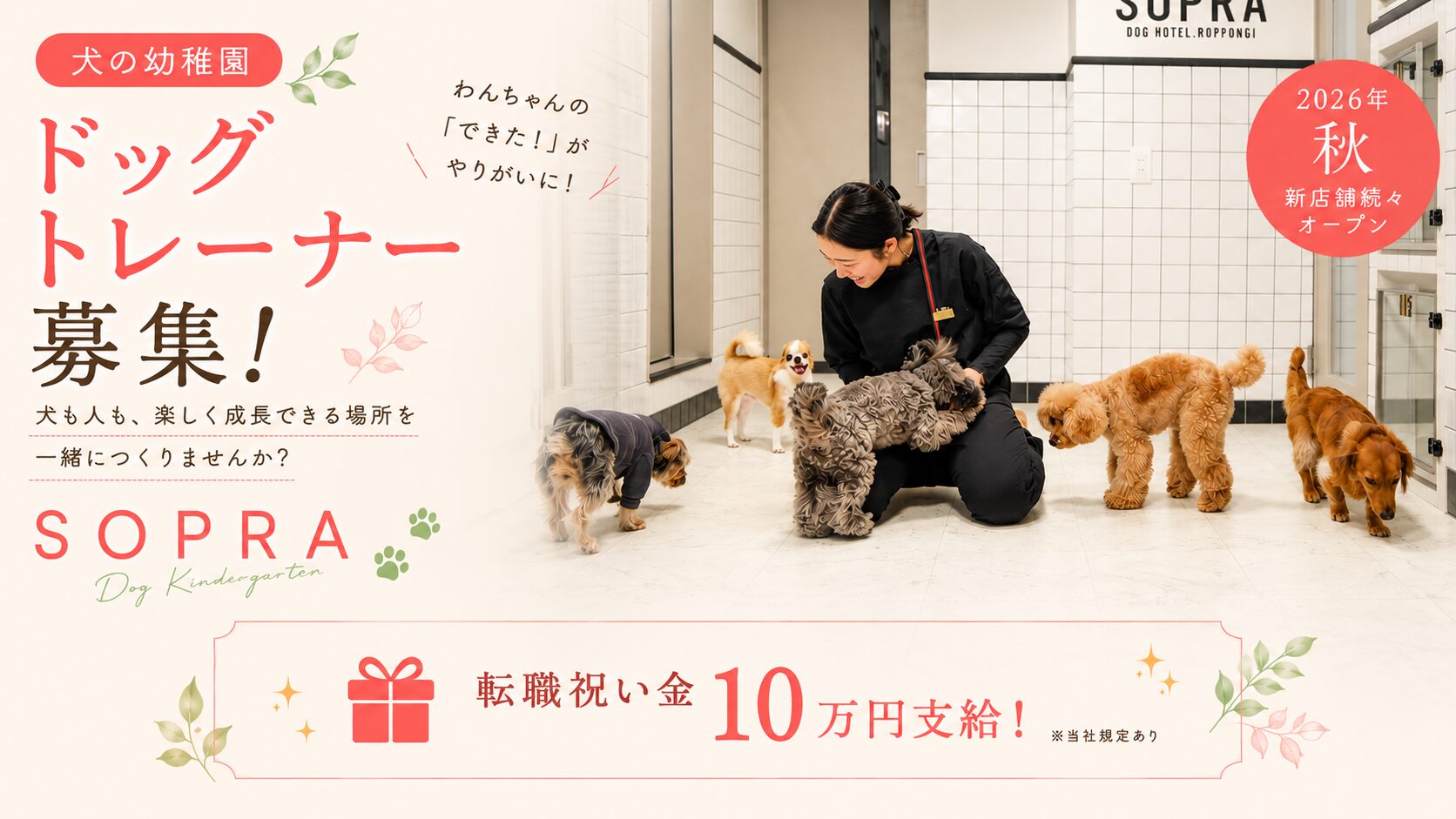 ドッグトレーナー募集｜犬の幼稚園｜2026年秋｜SOPRA