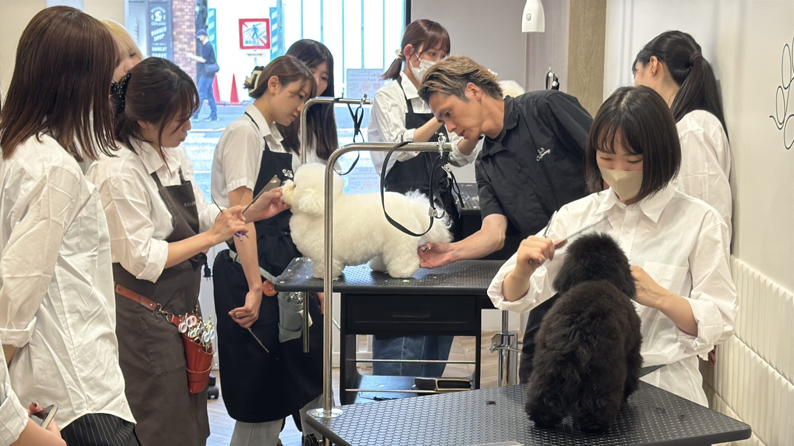 SOPRA技術研修会の様子