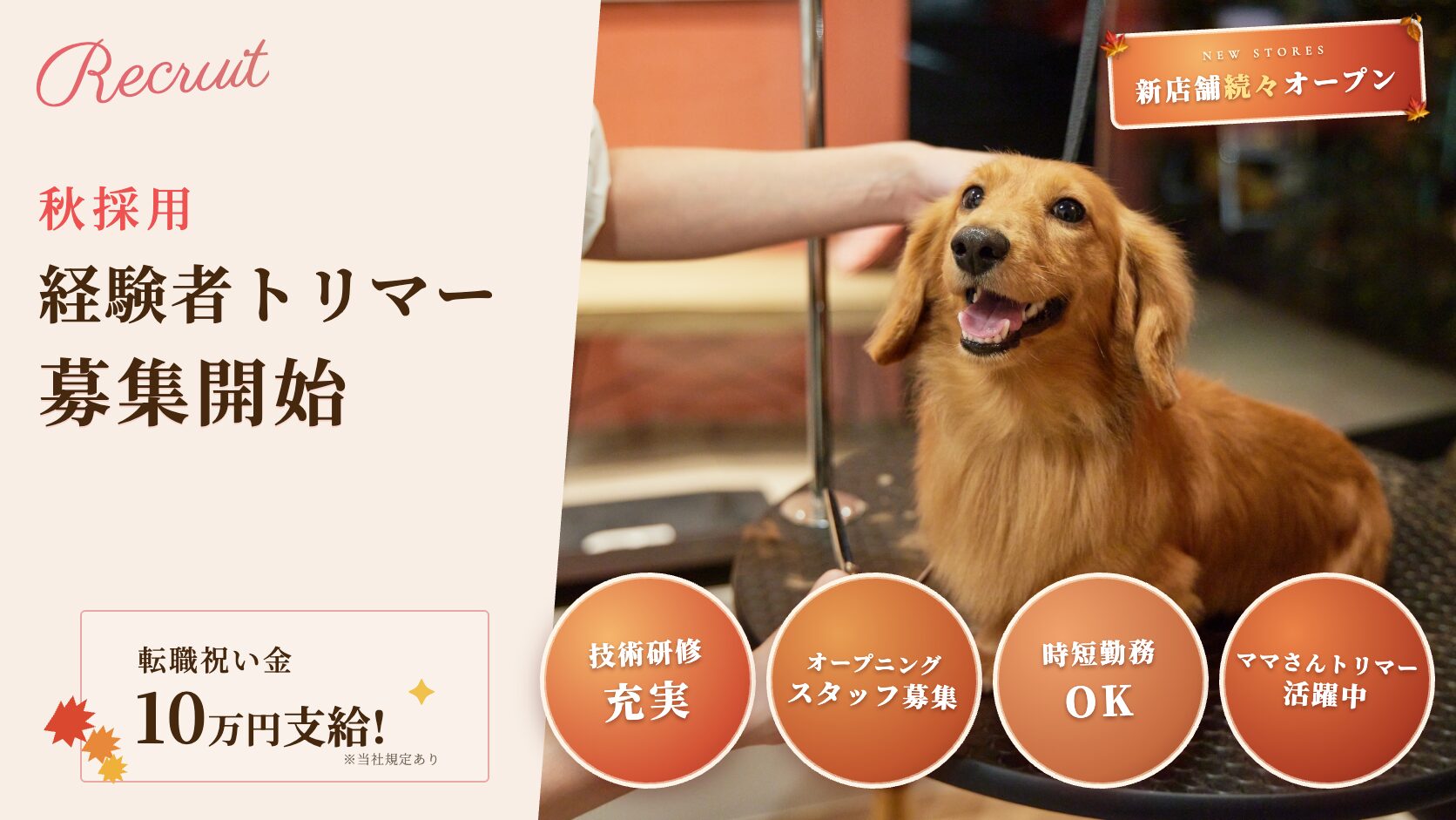 経験者トリマー募集｜2026年秋 新店舗続々オープン｜SOPRA